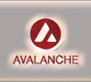 Avalanche Blockchain