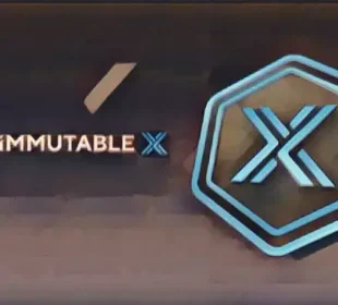 Immutable X Surge
